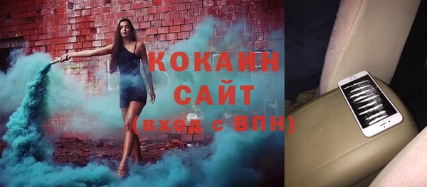 индика Алексеевка