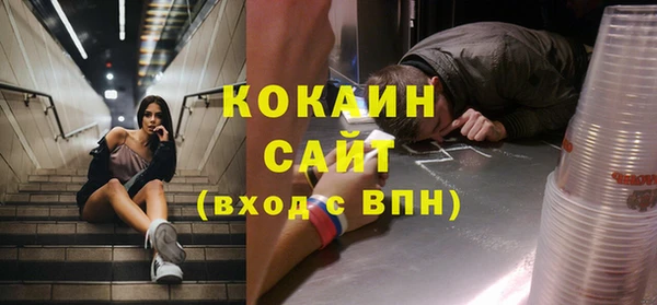 индика Алексеевка