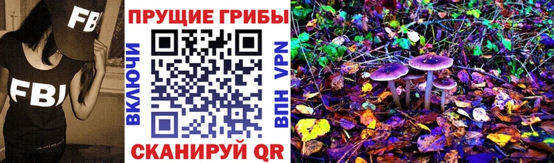 мориарти состав  хочу   Касимов  Псилоцибиновые грибы Magic Shrooms 
